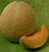v_cantaloupesuperstar.jpg